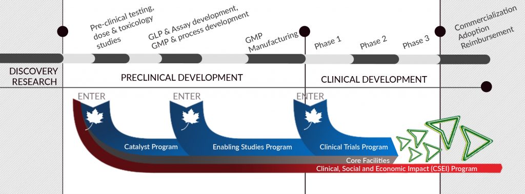 translational-continuum-1